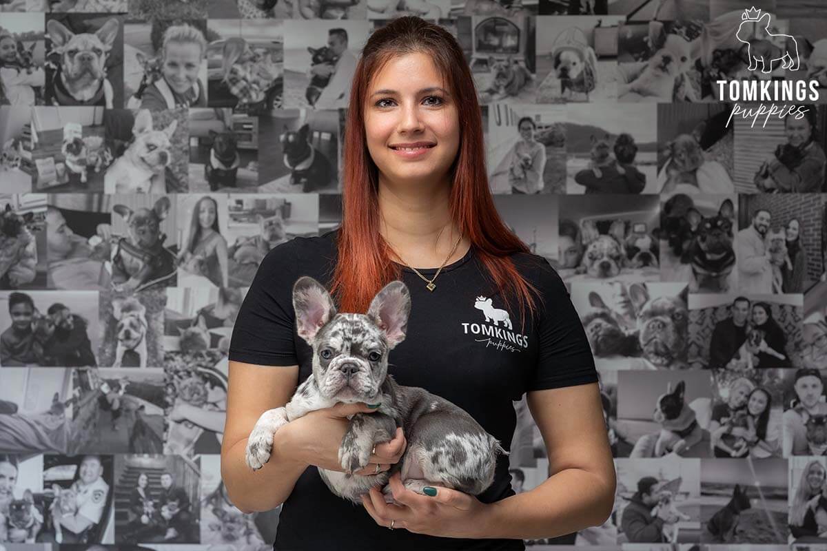 Meet the Team of TomKings Puppies - TomKings Blog