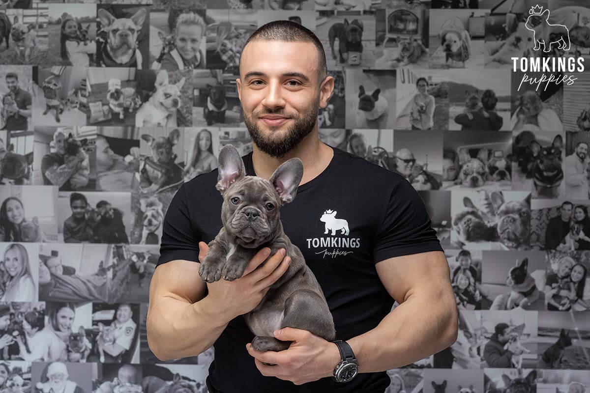 Meet the Team of TomKings Puppies - TomKings Blog