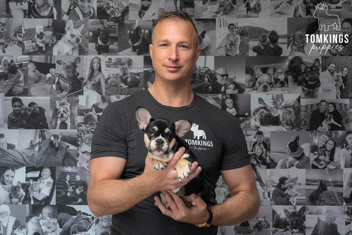 Meet the Team of TomKings Puppies - TomKings Blog