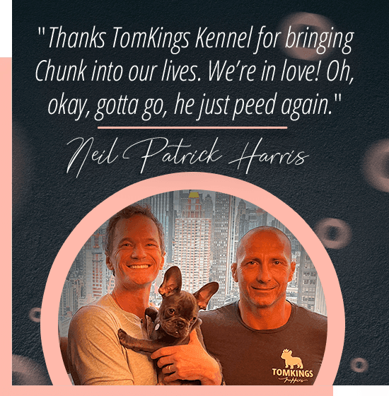 Neil Patrick Harris with Chunk from TomKings Puppies