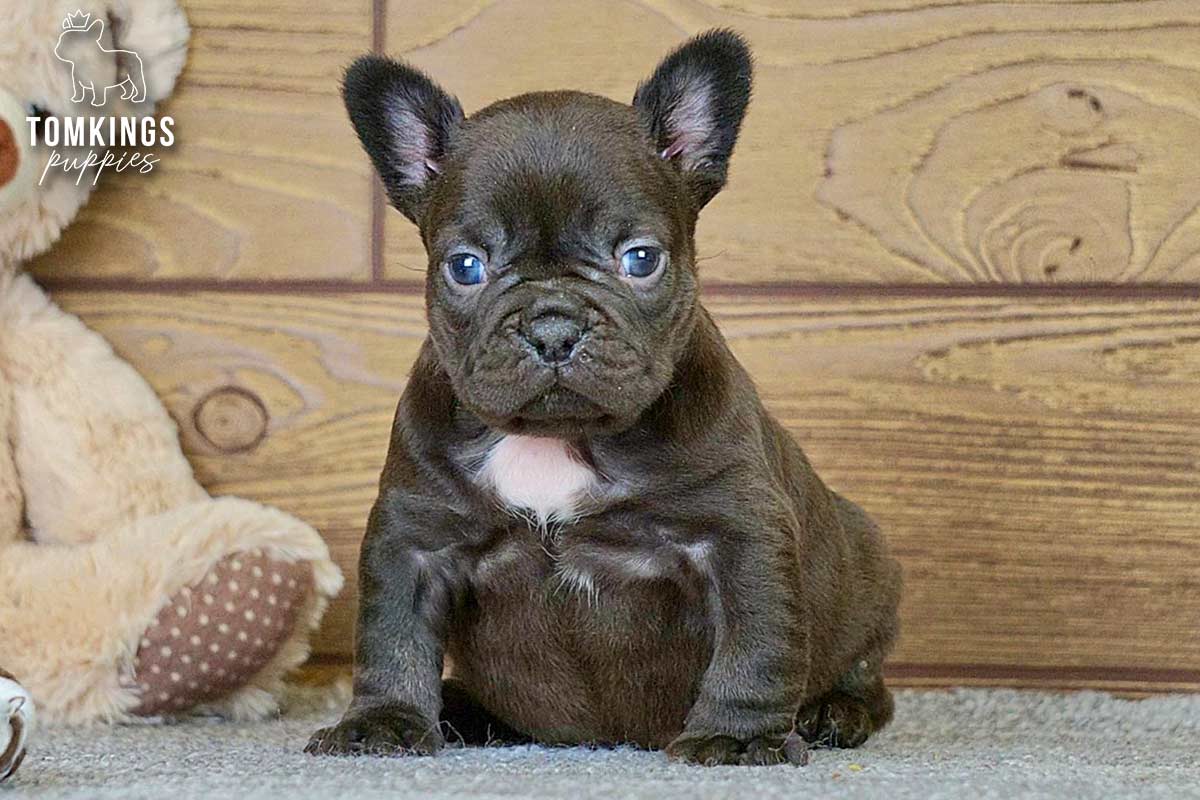 Brianna, the Petite Potato