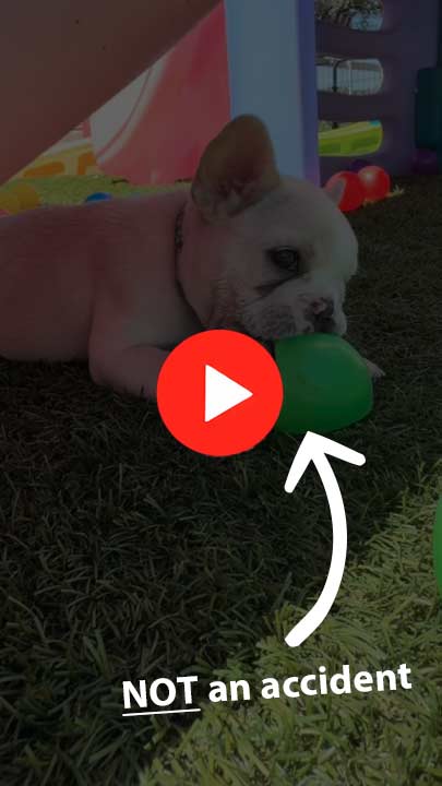 Outdoor play pen video thumbnail