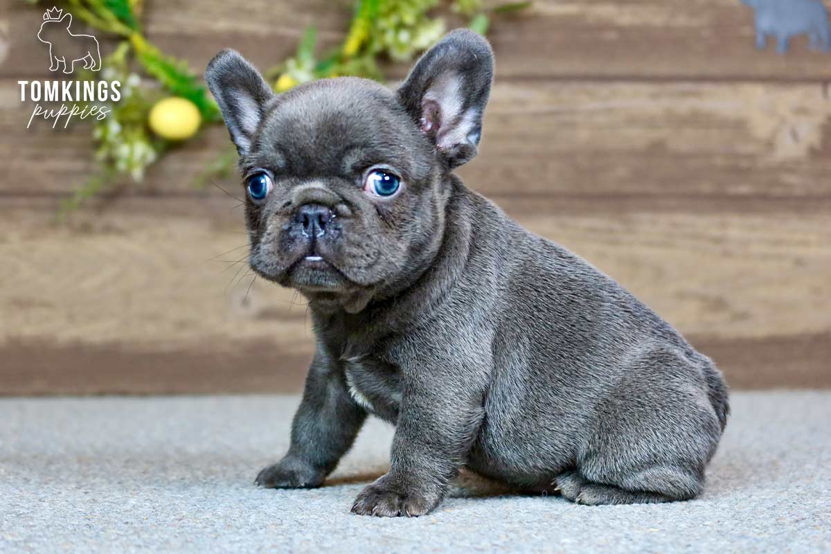 River, the Teacup Tornado